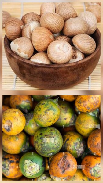 Areca Nut For Sale | පුවක් විකිණීමට ඇත.