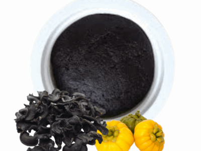 Garcinia Paste (Goraka Paste - ගොරකා)