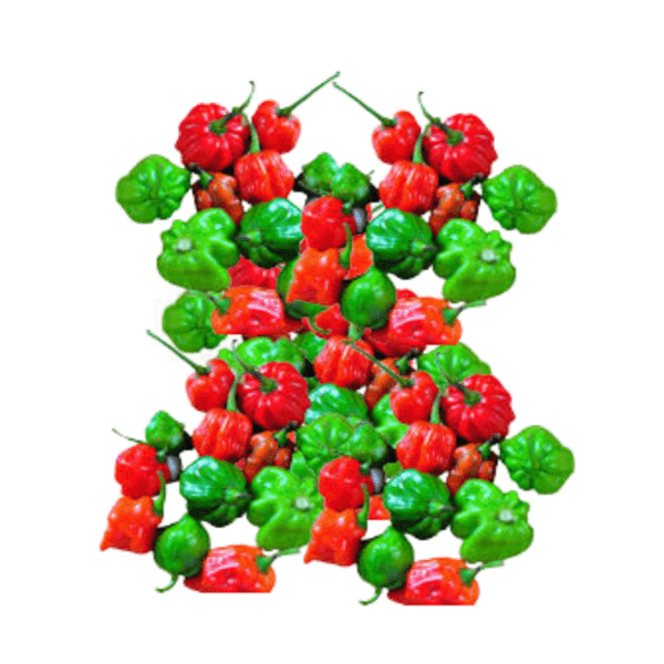 Nai Miris | නයිමිරිස්